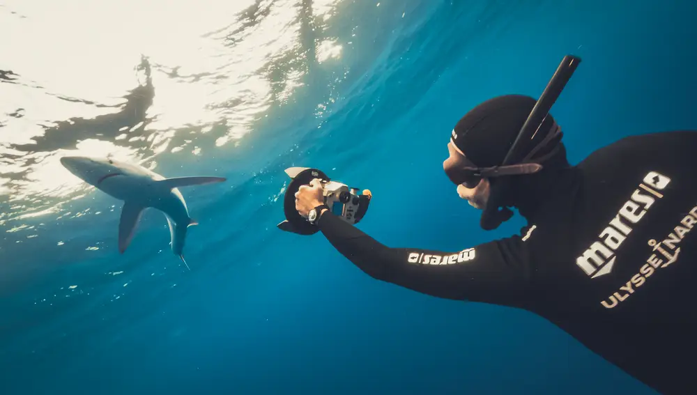 Fred Buyle con Diver Lemon Shark