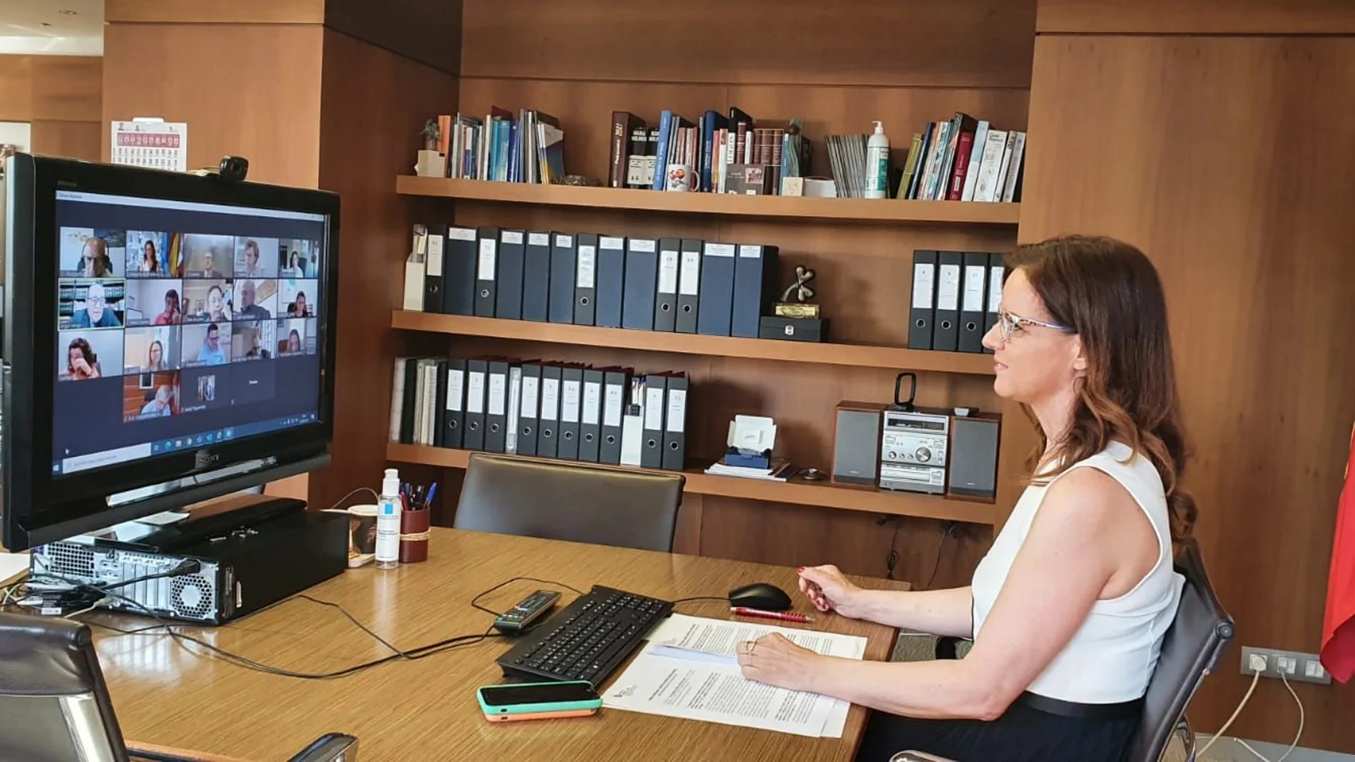 La consejera de Empleo e Industria, Ana carlota Amigo, preside la reunión del Consejo Castellano y Leonés de Comercio celebrada de forma telemática