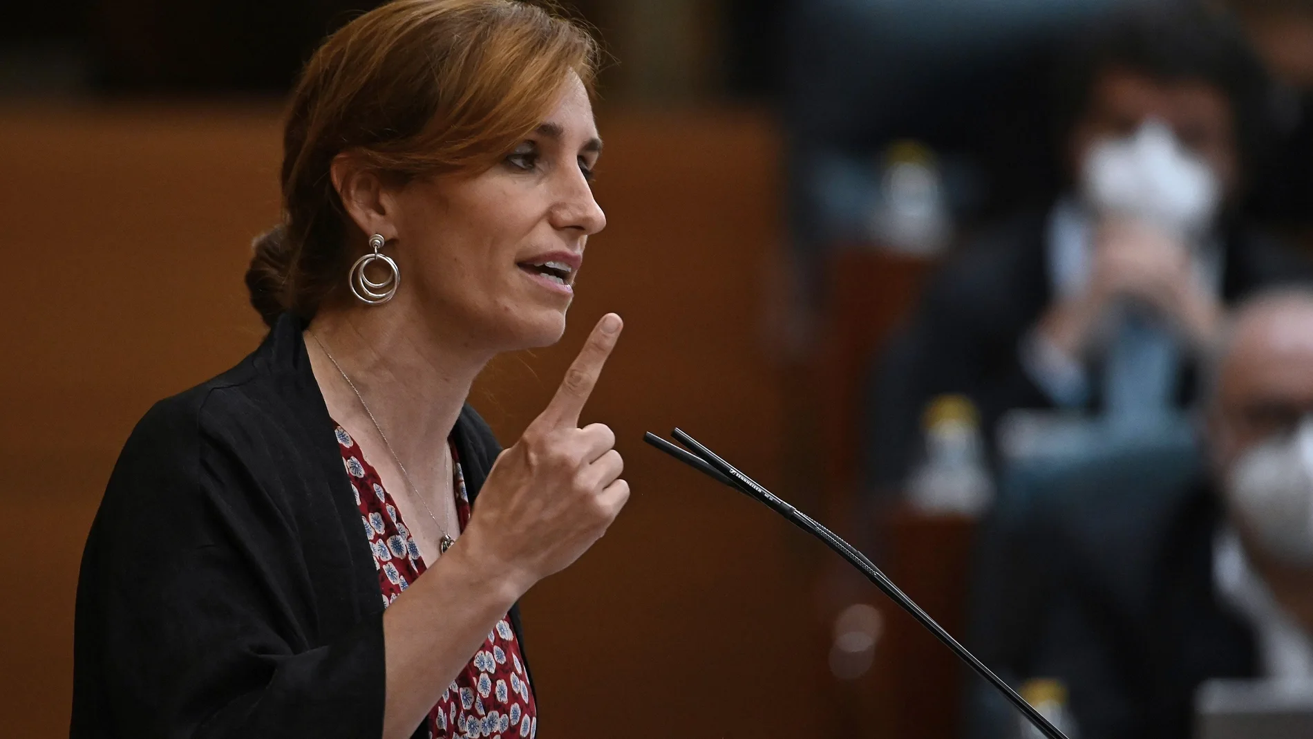 La portavoz de Más Madrid en la Asamblea, Mónica García