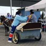 Una mujer se vacuna en un carro tirado por una mula en el punto de vacunación masiva contra la covid en Lepe (Huelva). EFE/Fermín Cabanillas