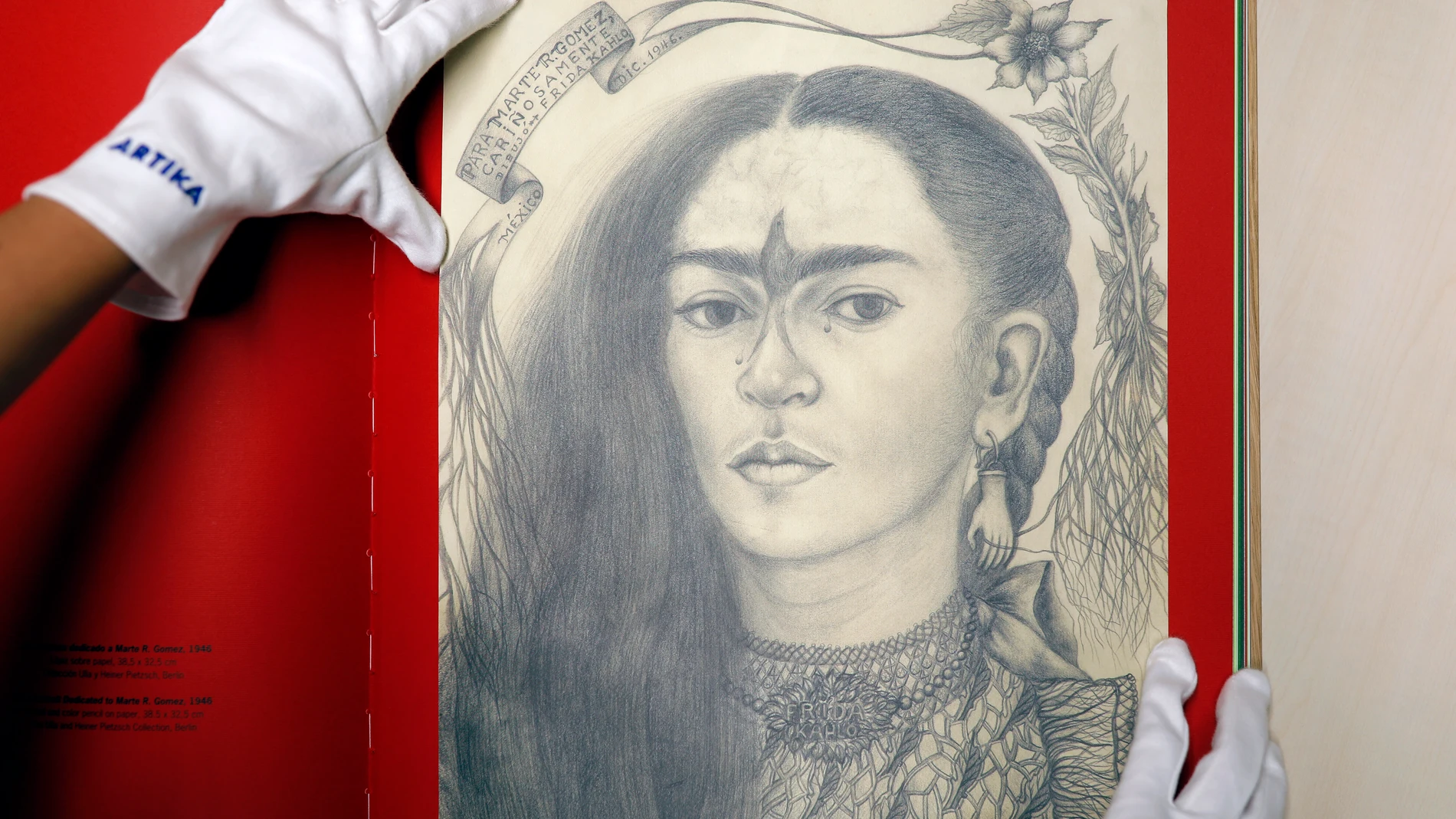 Libro de ilustraciones de Frida Kahlo de la editorial Artika