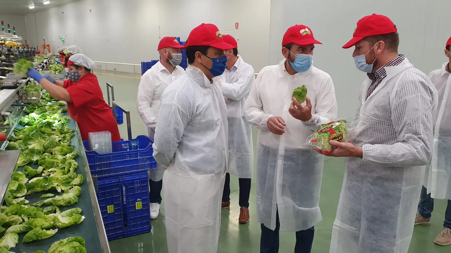 El consejero de Agua, Agricultura, Ganadería, Pesca y Medio Ambiente, Antonio Luengo, durante una visita a la empresa ElDulze, en San Javier