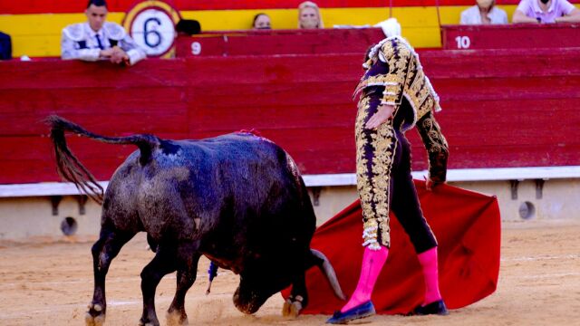 Daniel Luque en Castellón