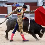  Fortes, el torero que siempre vuelve, reaparecerá en Torrejón