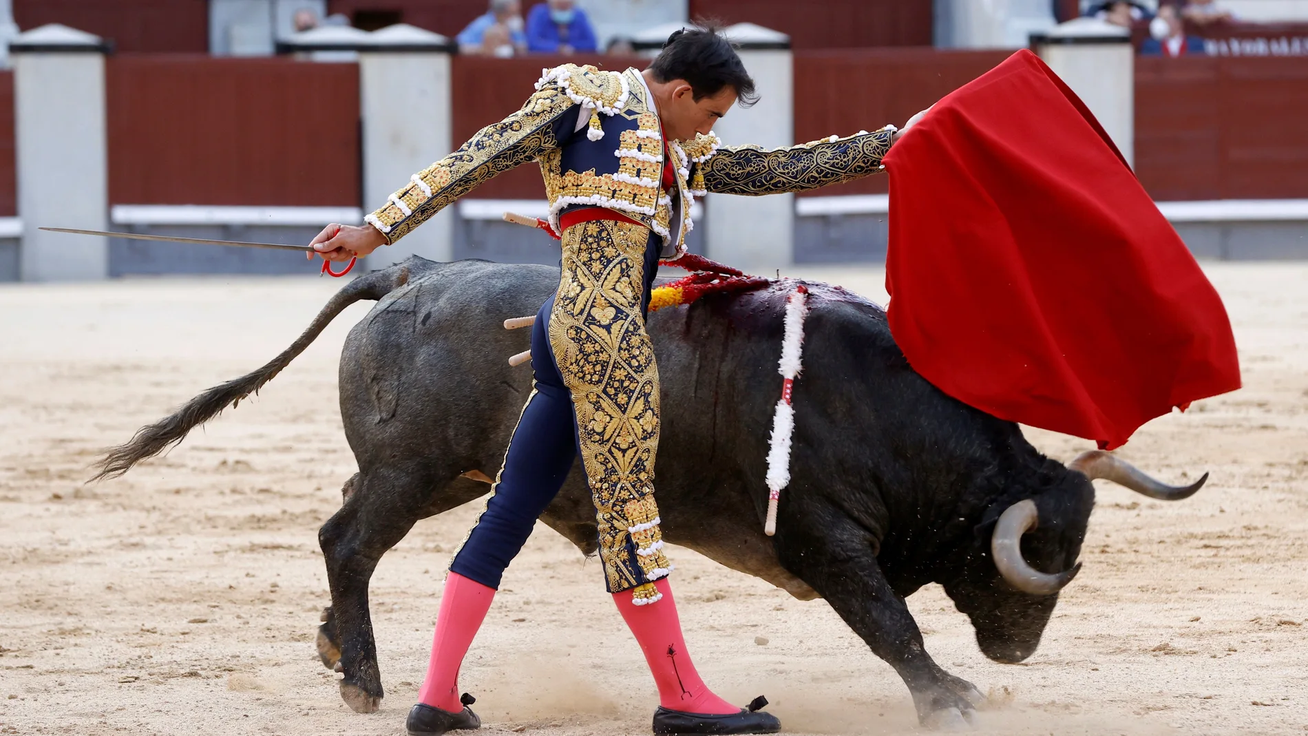 Fortes, el torero que siempre vuelve, reaparecerá en Torrejón