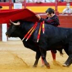 El diestro Morante de la Puebla
