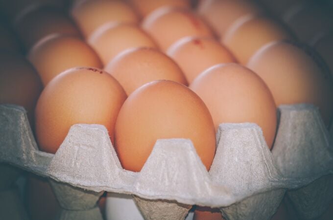 Huevos de gallina