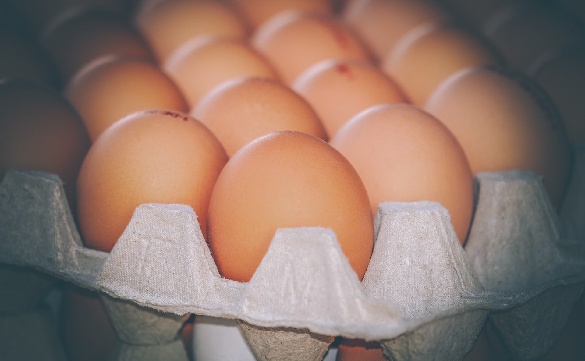 Cómo puedes saber si un huevo está fresco y es seguro para su consumo? -  Mejor con Salud