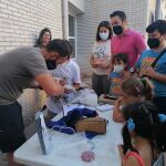 Anillamiento de cernícalos en el municipio jienense