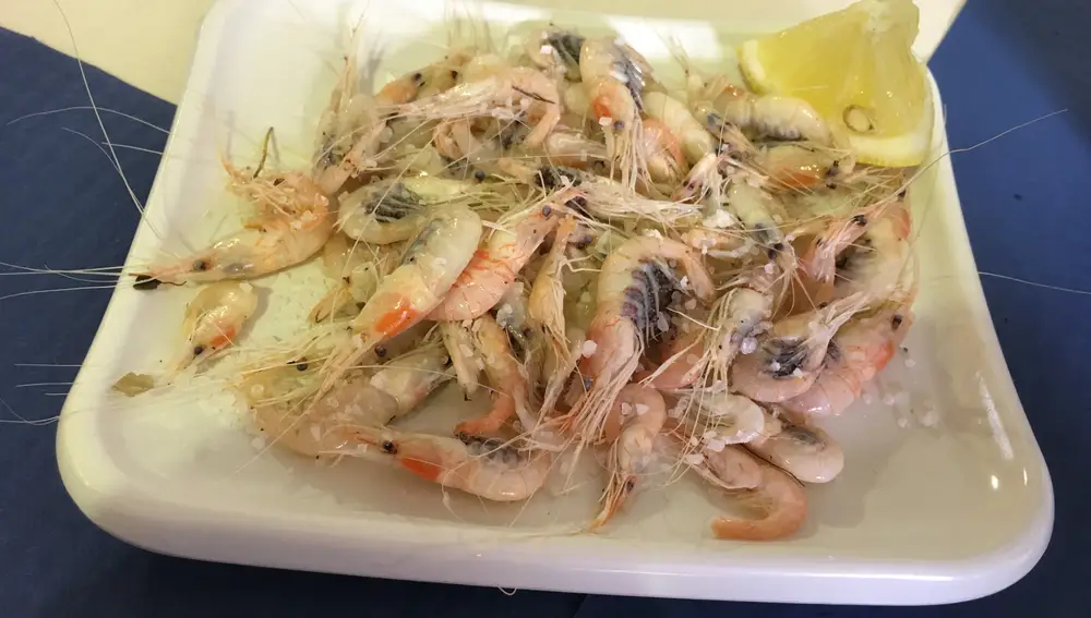 Camarones servidos en el Loco de Sanlúcar