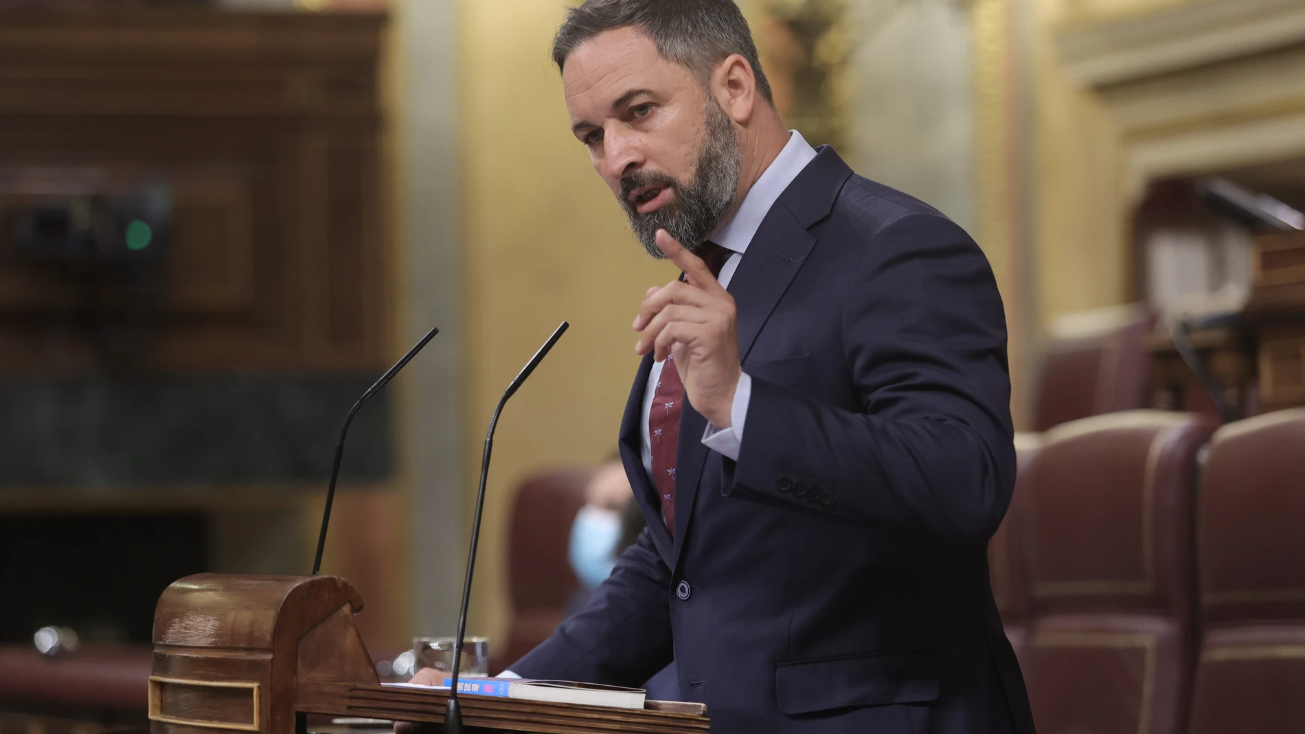 El líder de Vox, Santiago Abascal en el Congreso