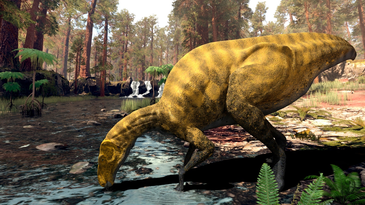 El nuevo dinosaurio español que podría cambiar lo que sabemos sobre los  dinosaurios de “pico de pato”