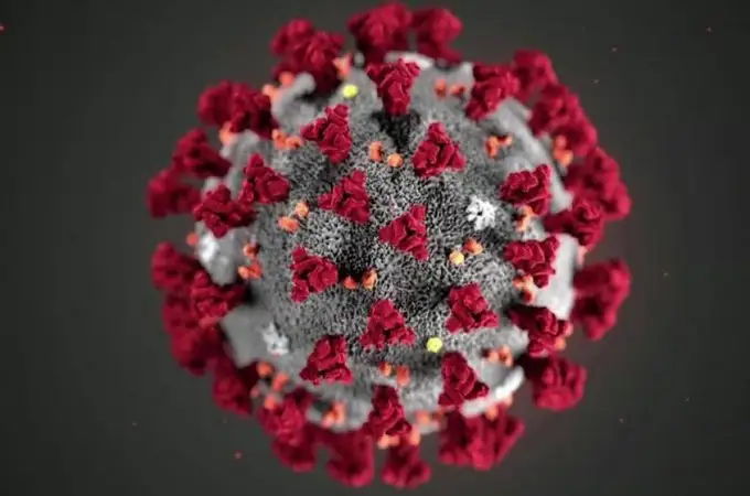 Novedosa técnica de antígenos para el coronavirus