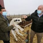 El consejero de Agricultura, Ganadería y Desarrollo Rural, Jesús Julio Carnero visita la explotación ganadera en Villaumbrales