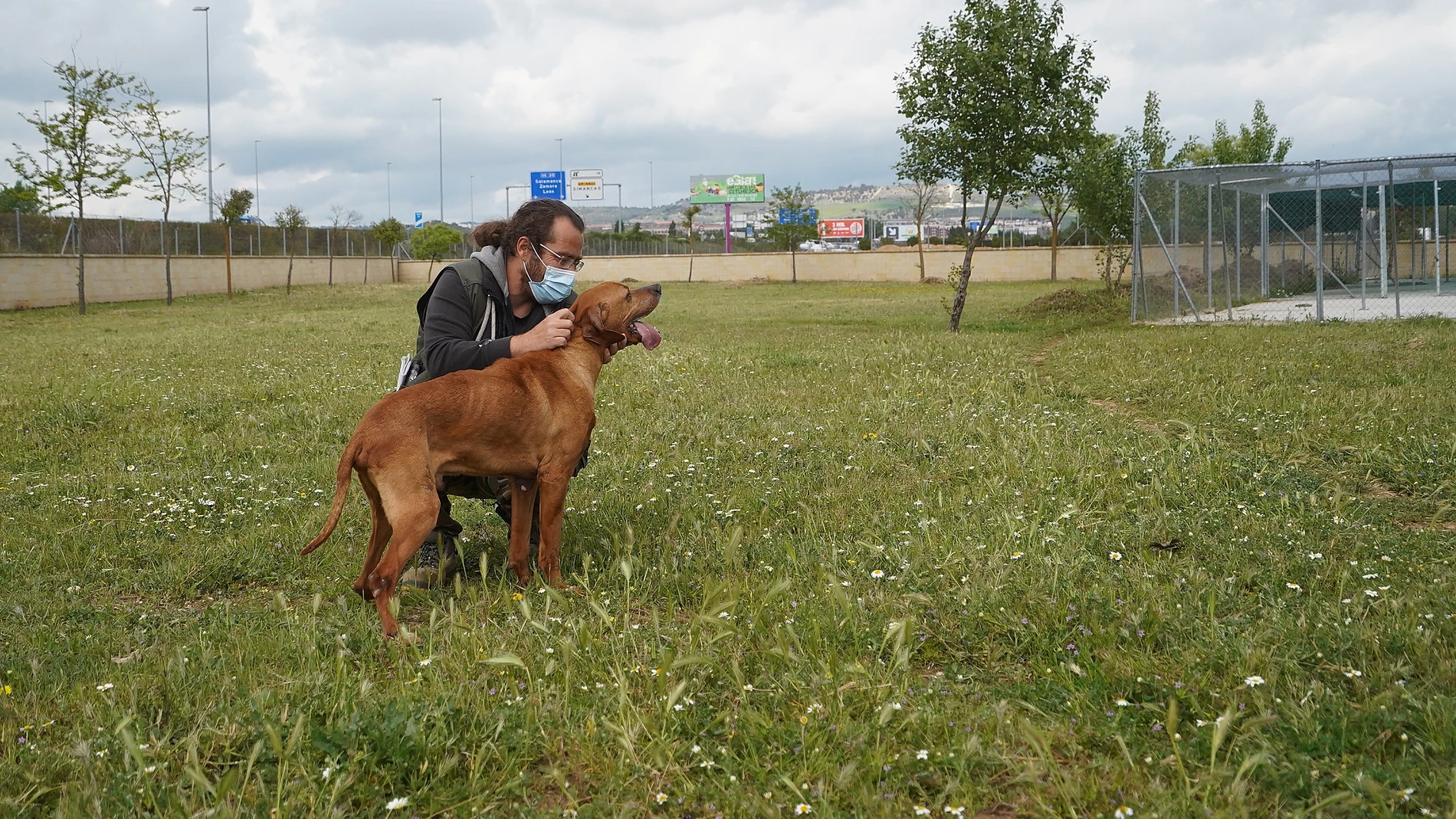 Centro Municipal de Animales de Compañía