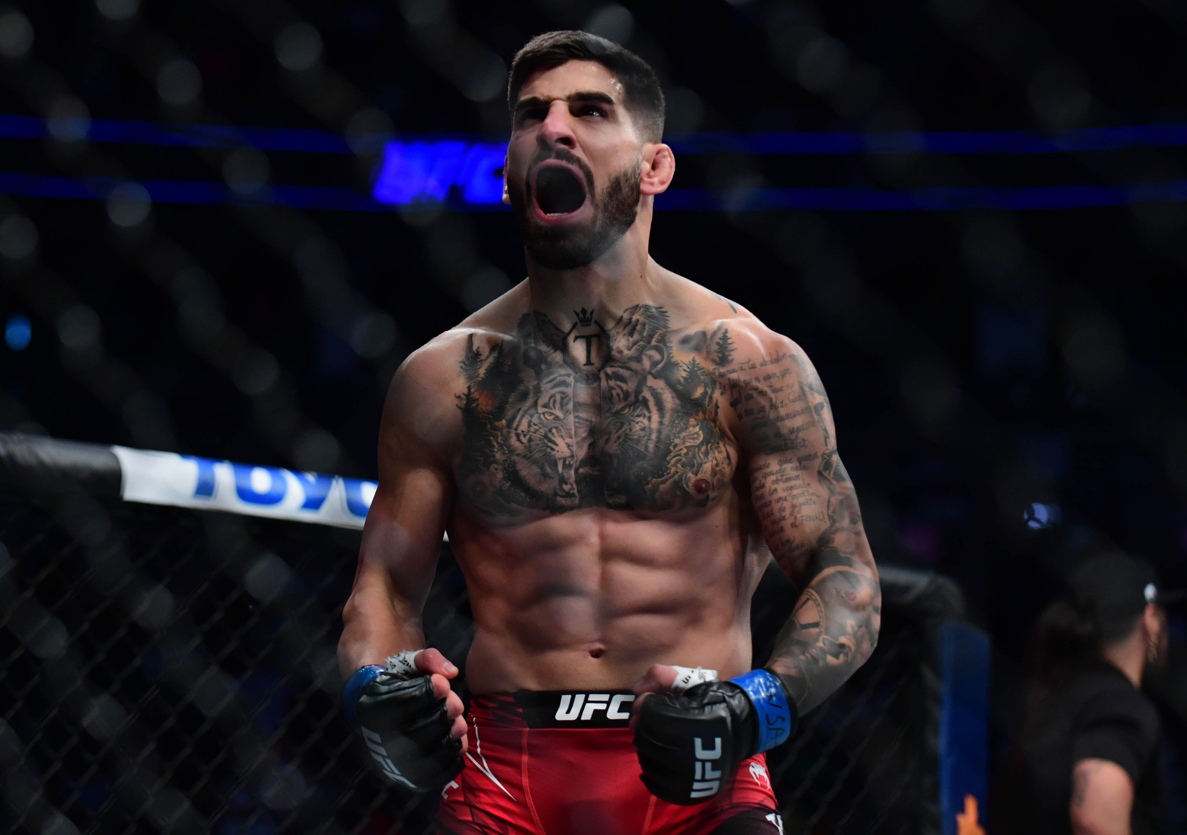 What are "cauliflower ears" and why several MMA fighters have them