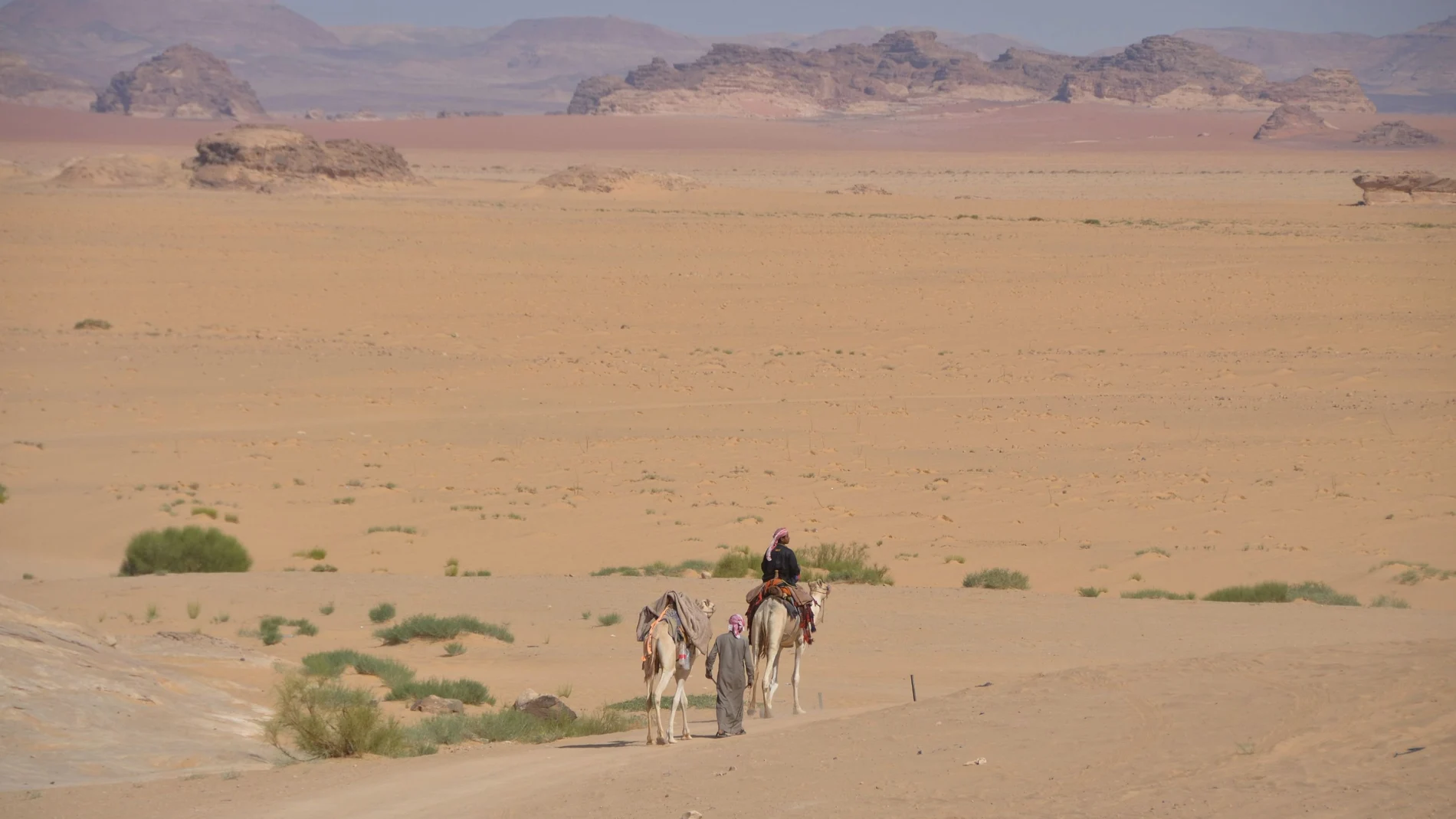 Hombres y camellos transitan el desierto de Wadi Rum, en Jordania.