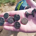 Piezas incautadas en la Operación "Pelendones"