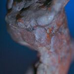 Huella dactilar hallada en una escultura de cera de Miguel Ángel