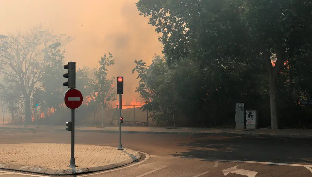 Vista de una nube de humo provocada por un incendio en una zona de pastos próxima a Ciudad Universitaria.