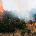 Vista de un incendio en una zona de pastos próxima a Ciudad Universitaria, cercana al Colegio Mayor Aquinas, junto a la Dehesa de la Villa, este lunes en Madrid.