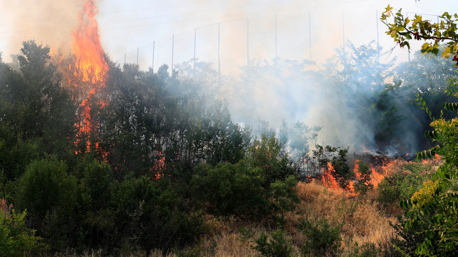 Vista de un incendio en una zona de pastos próxima a Ciudad Universitaria, cercana al Colegio Mayor Aquinas, junto a la Dehesa de la Villa, este lunes en Madrid.