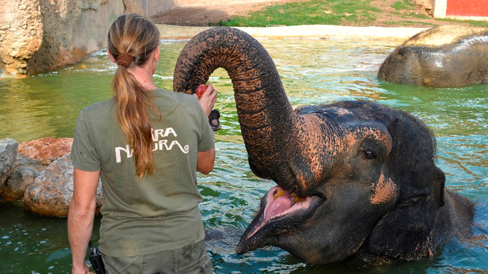 En Terra Natura el cuidado de los animales resulta prioritario