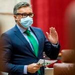 El portavoz parlamentario de Vox, Manuel Gavira