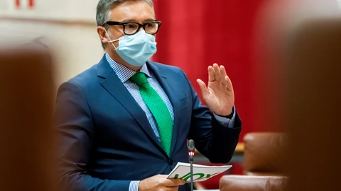 El portavoz parlamentario de Vox, Manuel Gavira