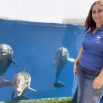 Delfines del Oceanogràfic de València