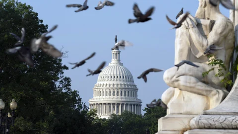 Imagen del icónico Capitolio de Estados Unidos