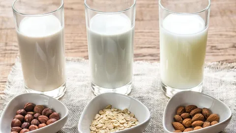 LECHE VEGETAL