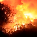 Imagen de uno de los incendios que sufrió Turquía el pasado mes de julio, uno de los países más afectados