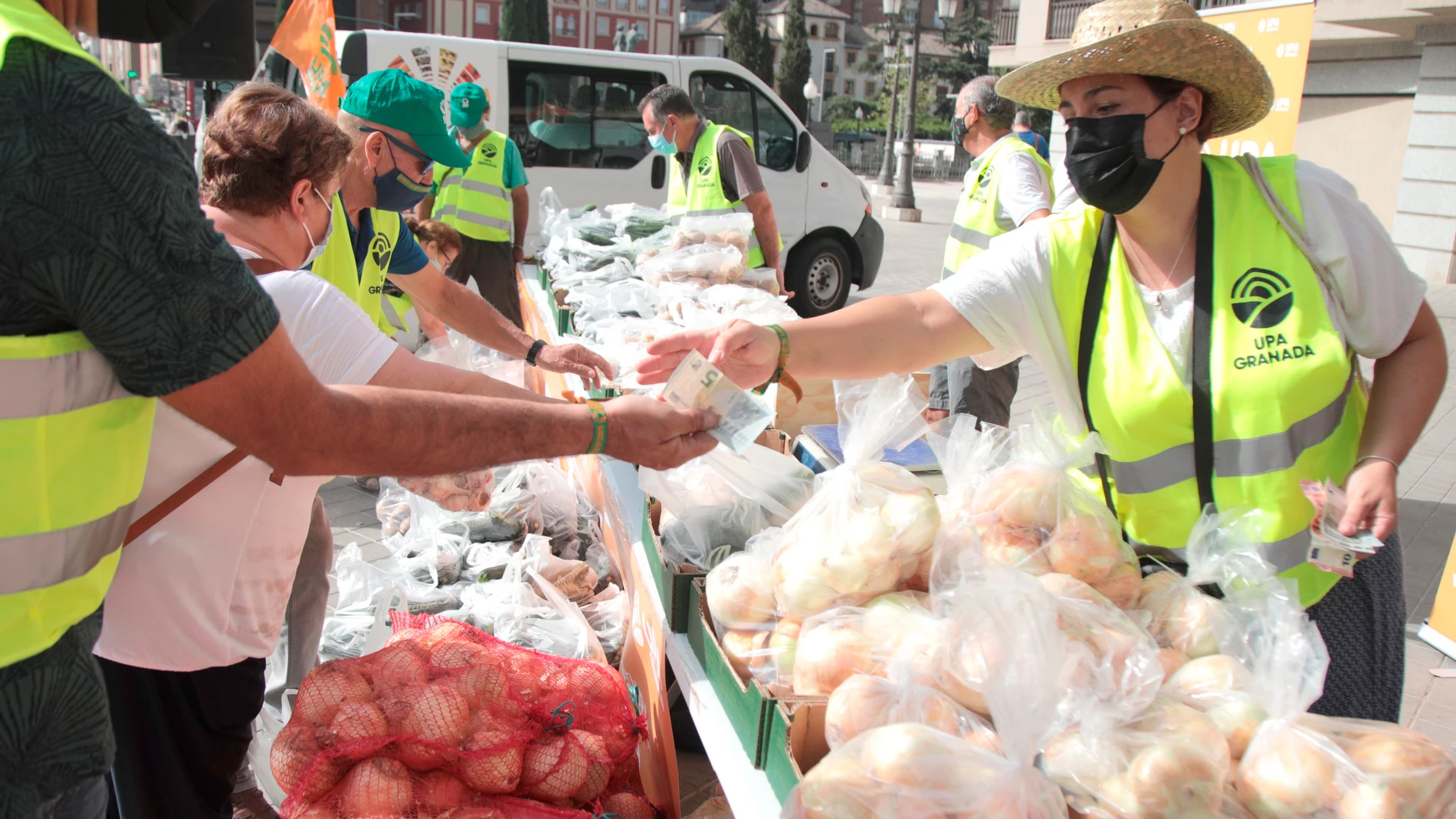 La Unión de Pequeños Agricultores (UPA) de Granada vende este viernes frutas y verduras a precios justos, por encima de lo que reciben los agricultores y más barato de lo que marcan los supermercados, como medida para combatir la especulación de precios