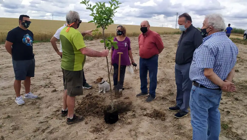 Cerca de 1.400 personas plantan 2.500 árboles en 58 municipios con el proyecto Arbolar 21 de la Diputación de Salamanca