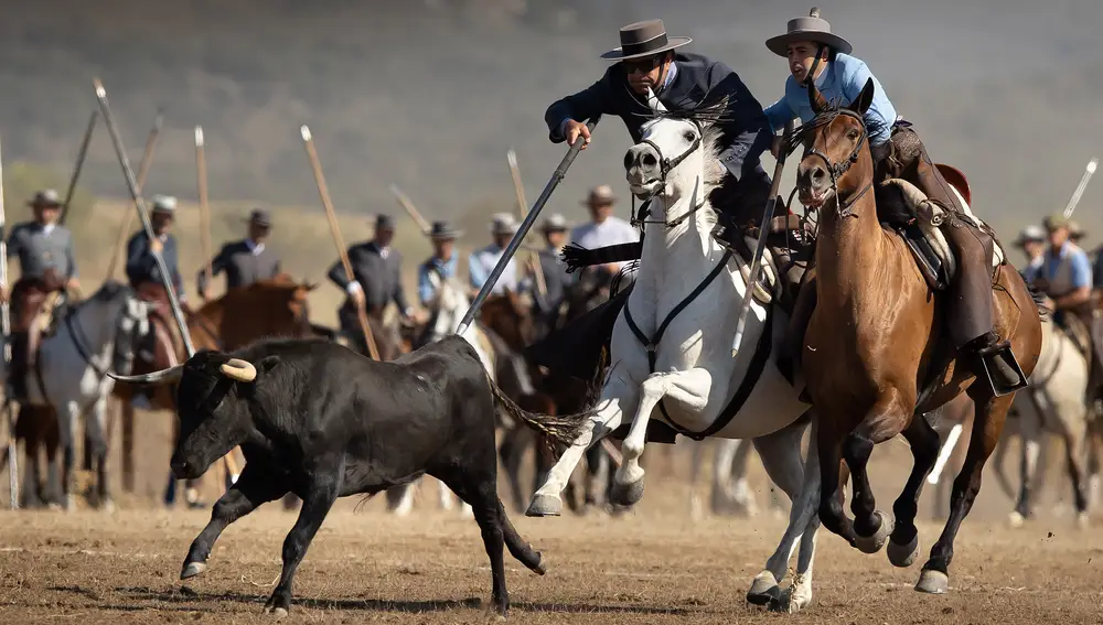 Los matadores de toros Julián López El Juli, Miguel Ángel Perera y El Capea participan en el XXXVIII Concurso Nacional de Acoso y Derribo de Ciudad Rodrigo