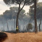 Incendio forestal en El Tiemblo (Ávila)