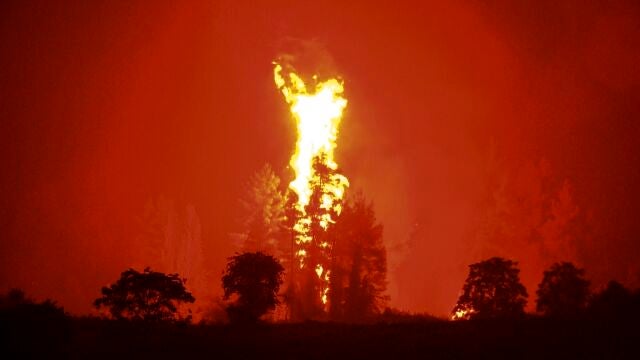 En Eubea operan actualmente 873 bomberos, incluidos efectivos llegados a través del mecanismo de asistencia europeo; 229 vehículos y 15 medios aéreos, además de fuerzas de la guardia costera y del ejército
