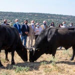 El consejero de Agricultura, Ganadería y Desarrollo Rural, Jesús Julio Carnero, durante una visita en Cardeñosa las fincas y cebaderos donde se crían ejemplares de raza avileña