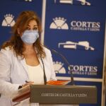 La procuradora por Ciudadanos, Marta Sanz