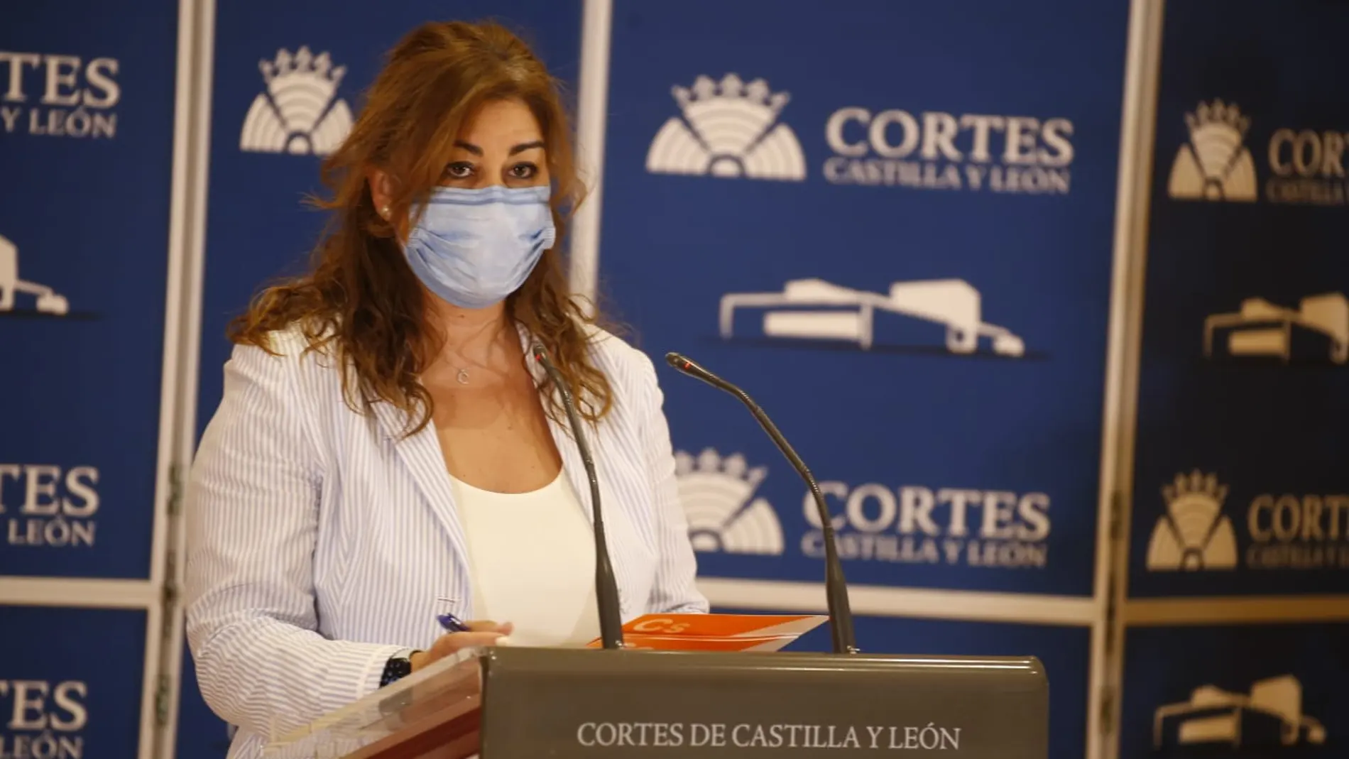 La procuradora por Ciudadanos, Marta Sanz