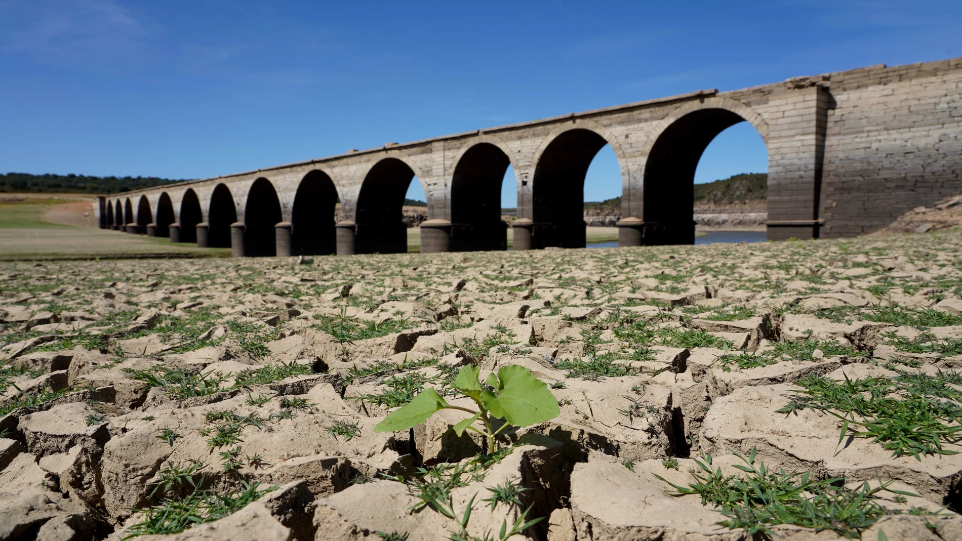 Bajada de la cota de agua del embalse de Ricobayo