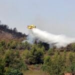 El incendio forestal está estabilizado