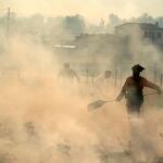 Vecinos de la localidad abulense de Robledillo y de pueblos cercanos colaboran con efectivos de la UME y bomberos este domingo en las labores de extinción del incendio declarado ayer en los municipios abulenses de Navalacruz y Cepeda de la Mora y La Parra. EFE/Raúl Sanchidrián