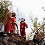 Imagen de un incendio forestal en la Comunidad Valenciana