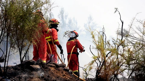 Imagen de un incendio forestal en la Comunidad Valenciana