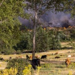 En la imagen, el incendio a su paso por la localidad de Riofrío