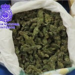 Droga incautada por la policía de Valladolid