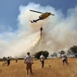 Incendio en San Felices de Gallegos (Salamanca)