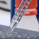 Investigaciones en la Universidad de Burgos